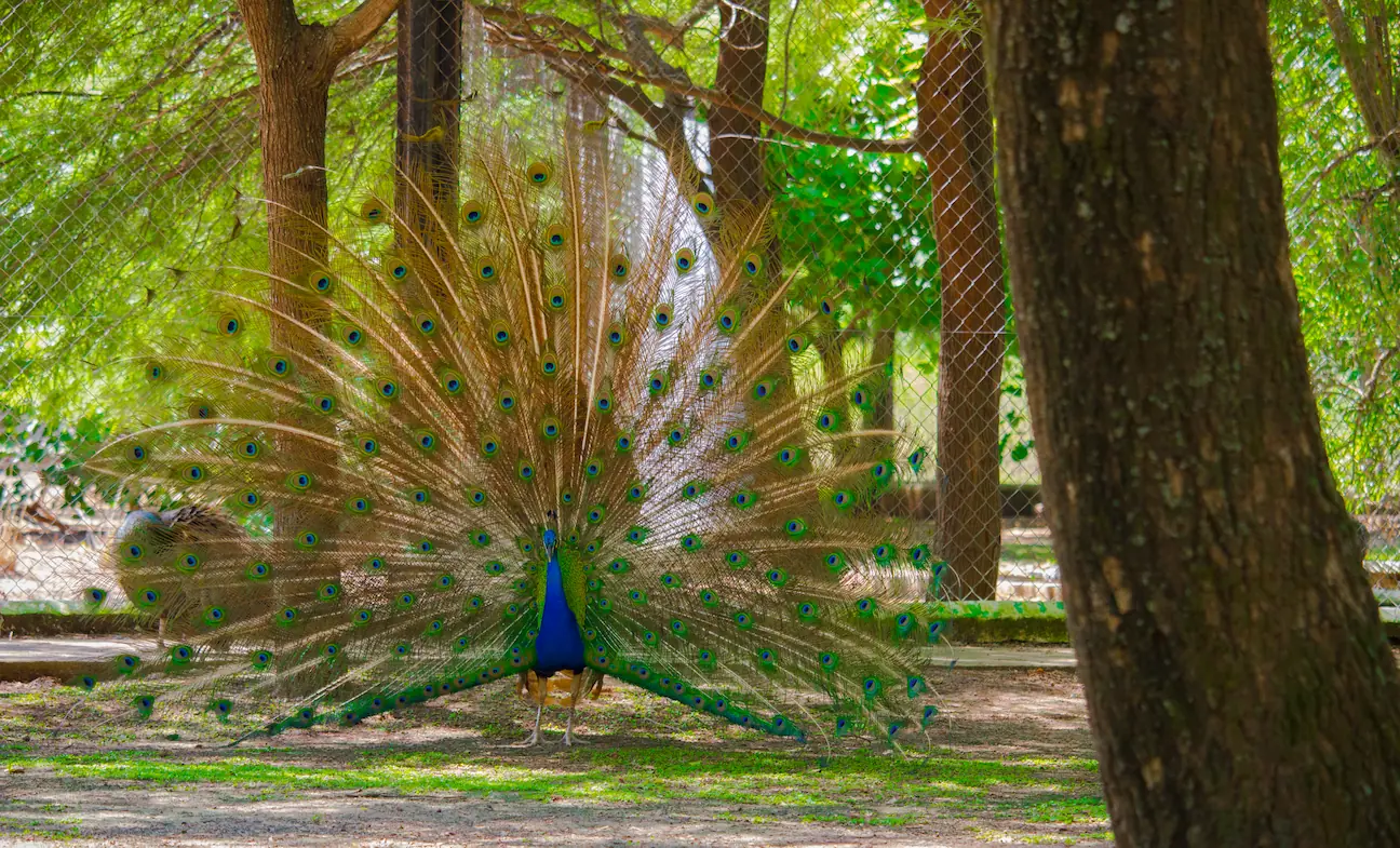Complejo Ecológico Municipal
